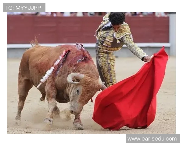 足球明星的华丽背后那些令人捧腹的搞笑瞬间与讽刺故事